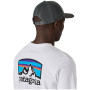 Gorra Patagonia P-6 Logo Trucker Hat