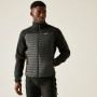 Chaqueta de hombre Regatta Ceden Hybrid
