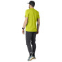 Camiseta de hombre Dynafit Graphic Co M S/S Tee