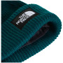 Gorro The North Face Salty Lined Beanie