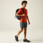 Pantalones cortos de hombre Regatta Xert Stretch Shorts
