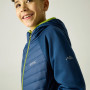 Chaqueta para niños Regatta Junior Andreson Hybrid Aviator Blue
