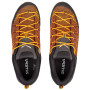 Calzado de hombre Salewa Ms Mtn Trainer Lite