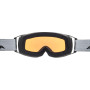 Gafas de esquí Alpina Double Jack Q Lite