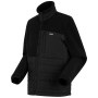Chaqueta de hombre Regatta Frankie Borg Hybrid