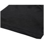 Camiseta de hombre Alpine Pro Bolen 2