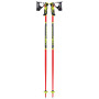 Bastones de esquí alpino Leki WCR Lite SL 3D