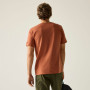 Camiseta de hombre Regatta Cline IX