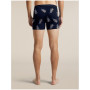 Calzoncillos bóxer funcionales para hombre Icebreaker Men M 150 Anatomica Boxers BearTourAOP