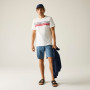 Camiseta de hombre Regatta Rendro