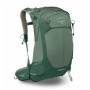 Mochila de senderismo Osprey Stratos 24 verde pine leaf
