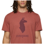 Camiseta de hombre Cotopaxi M'S Cotopaxi Llama T-Shirt