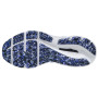 Calzado de hombre Mizuno Wave Inspire 17