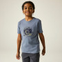 Camiseta para niños Dare 2b Trailbazer III Tee Mercury
