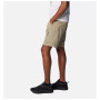 Pantalones cortos de hombre Columbia Silver Ridge™ Utility Cargo Short