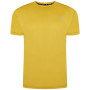 Camiseta de hombre Dare 2b Discernible Tee amarillo/verde Antique Moss