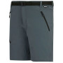 Pantalones cortos de hombre Regatta Xert Stretch Shorts