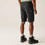 Pantalones cortos de hombre Regatta Highton Shorts Long II