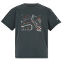 Camiseta para niños Regatta Alvarado Seal Grey gris Seal Grey