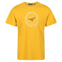 Camiseta de hombre Regatta Cline VI amarillo Yellow Gold
