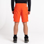 Pantalones cortos de hombre Dare 2b Tuned In II Short 2023