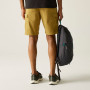 Pantalones cortos de hombre Regatta Ruwan Shorts
