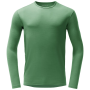 Talla: L / Color: verde