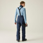 Pantalones de hombre Dare 2b Achieve III Pant regular