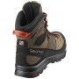 Calzado de hombre Salomon X Alp High Ltr Gtx®