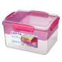 Caja de comida Sistema Sistema Lunch Tube To Go 2,3L rosa