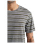Camiseta de hombre Icebreaker Mens Wave SS Tee Stripe