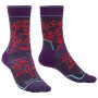 Calcetines de mujer Bridgedale Hike MW MP Boot Women's