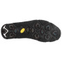 Calzado de hombre Salewa Ms Mtn Trainer 2 Winter Gtx