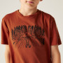 Camiseta para niños Dare 2b Trailbazer III Tee Arabian Spice