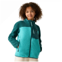 Sudadera funcional para niños Regatta Junior Frankie Warm Fleece Mediterranea/Turquoise