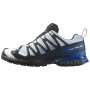 Zapatillas de carrera para hombre Salomon Xa Pro 3D V9 GTX Icon