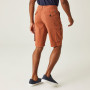 Pantalones cortos de hombre Regatta Shorebay Short