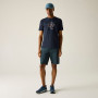 Camiseta de hombre Regatta Cline IX