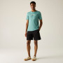Camiseta de hombre Regatta Cline IX
