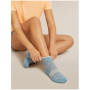 Calcetines de mujer Icebreaker Women Multisport Light Mini