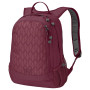 Mochila Jack Wolfskin Perfect Day 22 rojo GarnetRedGeometricLeaves