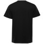 Camiseta de hombre Alpine Pro Bolen 2