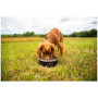 Comedero para perro Mountain Paws Basecamp Dog Bowl
