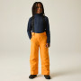 Pantalones de esquí para niños Dare 2b Outmove III Insulated Pant ElectricOrng