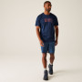 Camiseta de hombre Regatta Fingal IX