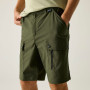 Pantalones cortos de hombre Regatta Arlery Shorts