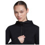 Sudadera funcional de mujer Icebreaker Women Merino Blend 200 RealFleece™ Descender LS Zip Hoodie