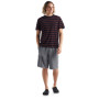 Camiseta de hombre Icebreaker Mens Wave SS Tee Stripe