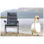 Silla Vango Cayo XL
