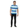 Camiseta de hombre Regatta Maxen